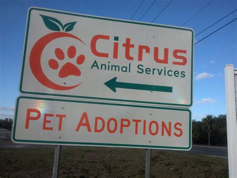 Citrus county animal pound - Citrus County Animal Services 4030 South Airport Road, Inverness, FL Provides animal control, adoptions, lost and found pet assistance, and animal cruelty investigations in Citrus County, Florida. Humane Society of Citrus County PO Box 2283, Inverness, FL. National Greyhound Foundation 4420 South Wandering Path, Homosassa, FL. Room for One More ... 